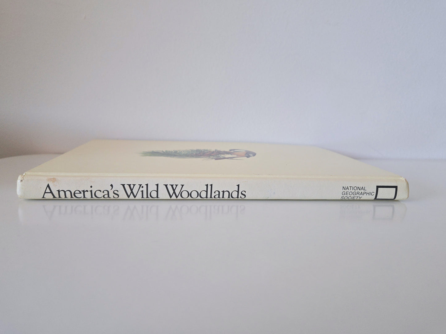 1985 America's Wild Woodlands