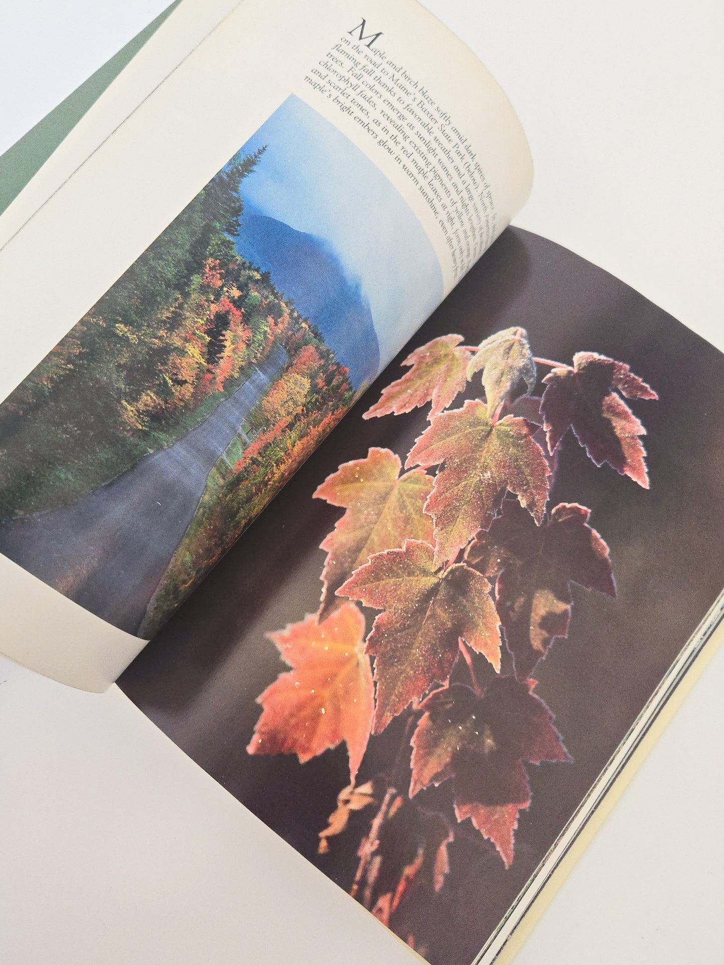 1985 America's Wild Woodlands