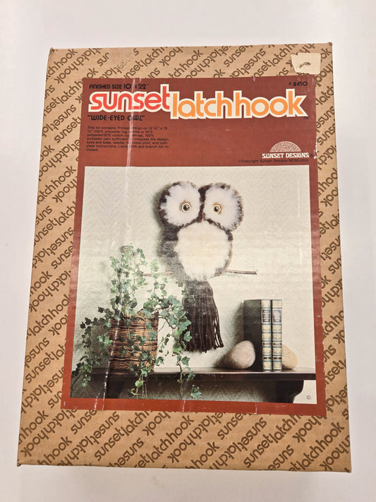1970's Wide-Eyed Owl Latch Hook Kit