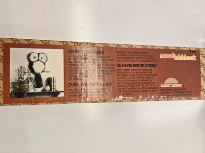 1970's Wide-Eyed Owl Latch Hook Kit