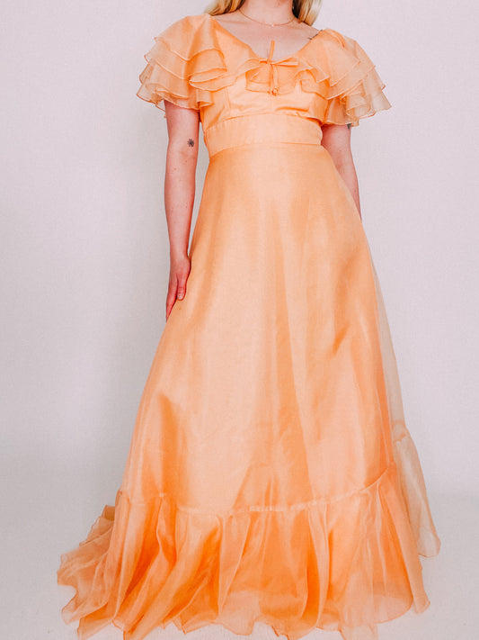 1970s Peach Organza Maxi Dress