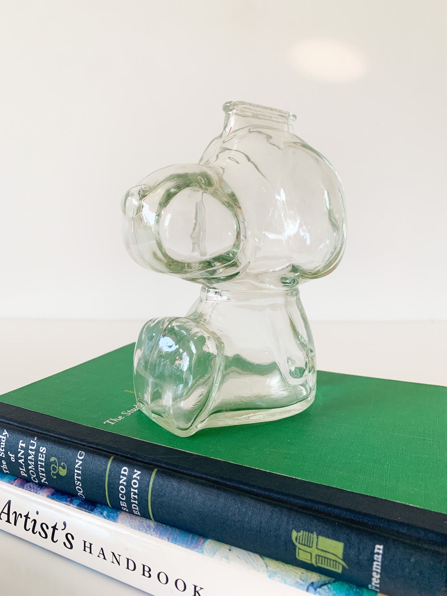 Vintage Snoopy Glass Coin Bank