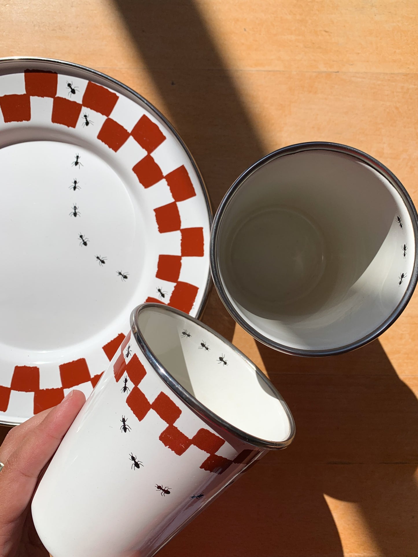 Ant Picnic Plates + Cups, set of 6.